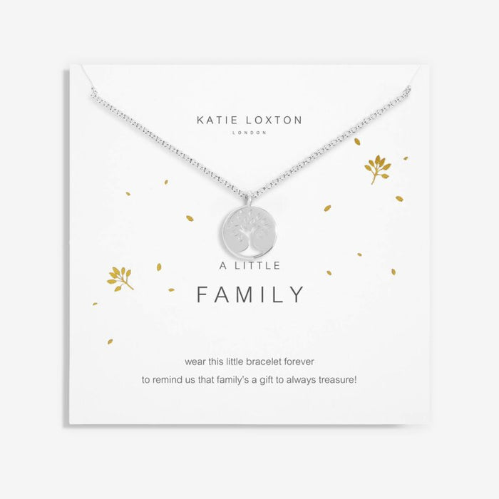 A Little Silver Necklace 18"