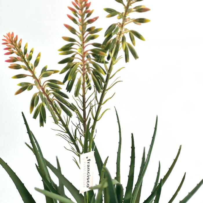 Artificial Aloe with Flowers 55cm available from www.plantcouture.co.za