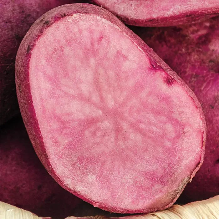 Amarose Fingerling Potato