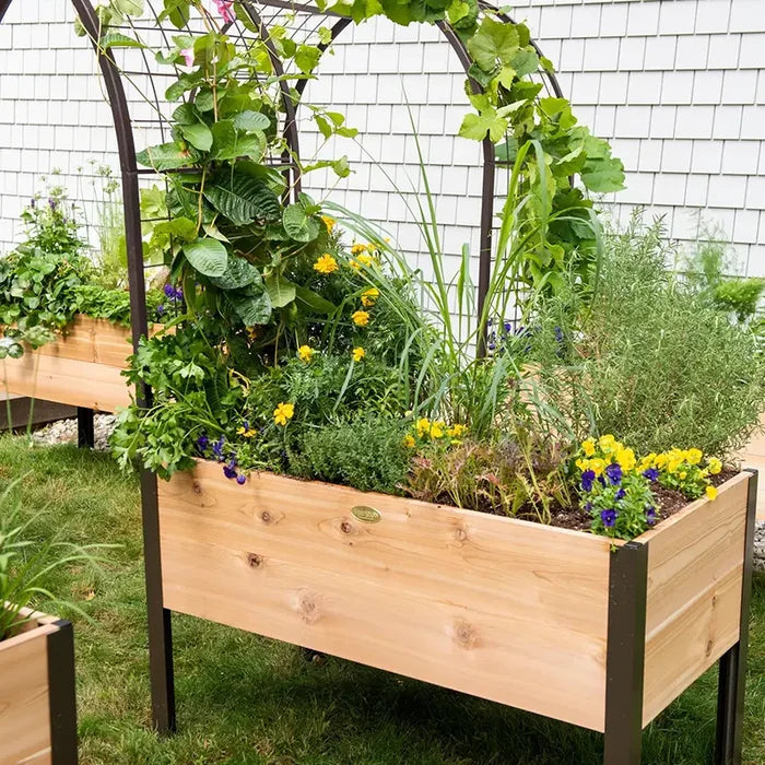 Arch Trellis For 2x4 Planter Box