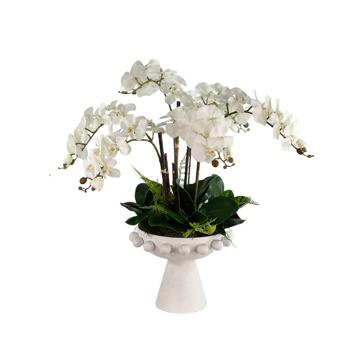 White orchid arrangement on a small white pedestal stand against a white background