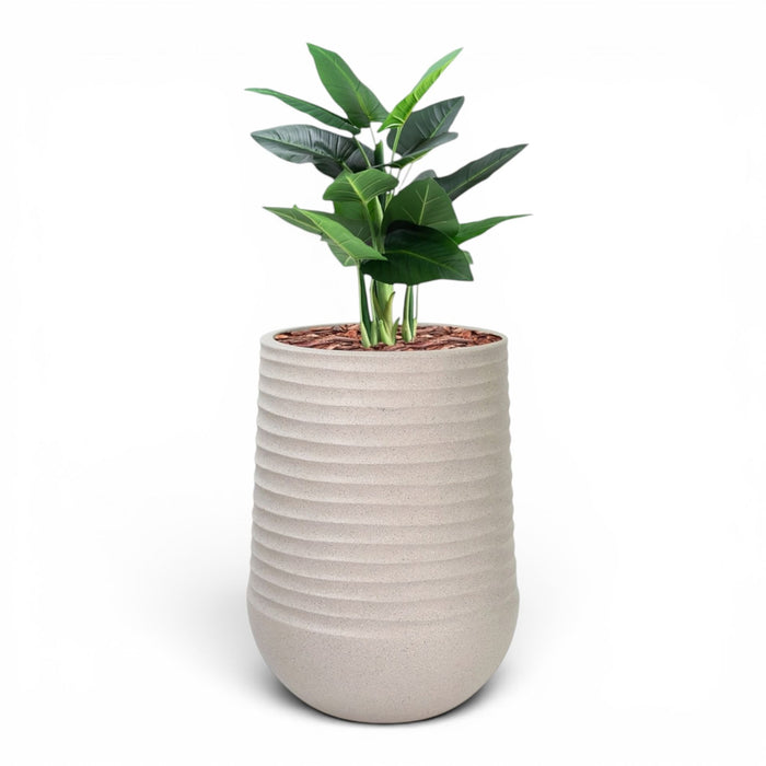 Artemis Planter L 53x69.5 Beige with Calla Lily 90cm