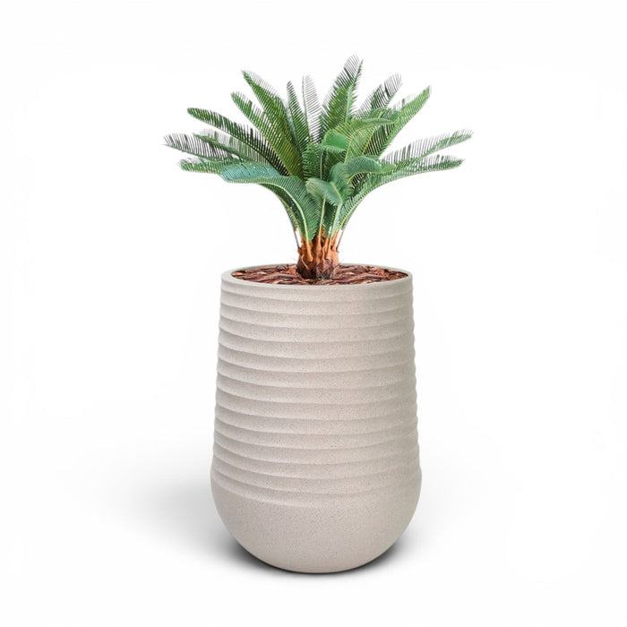 Artemis Planter L 53x69.5 Beige with Cycas 72cm
