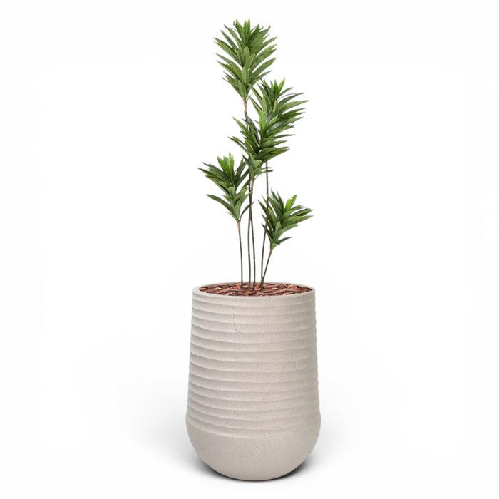 Artimis Planter L Beige With Dracaena Reflexa 120cm