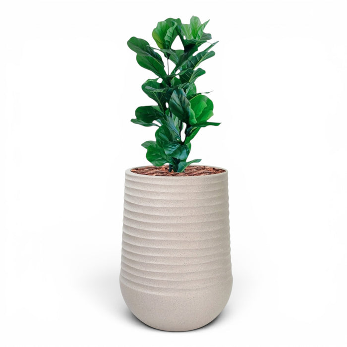 Artimis Planter L Beige With Fiddle Leaf Ficus 90cm
