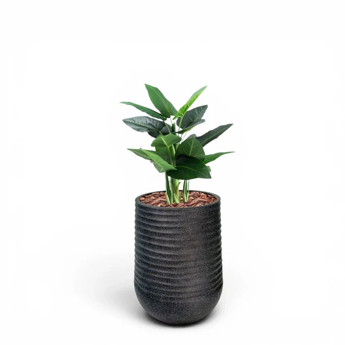 Artimis Planter L Black With Calla Lily 90cm