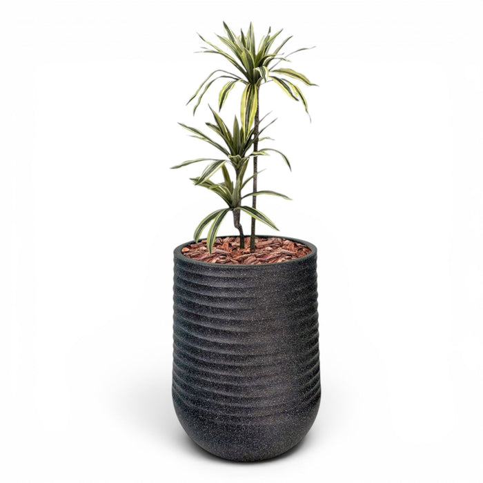 Artimis Planter L Black With Dracaena 100cm