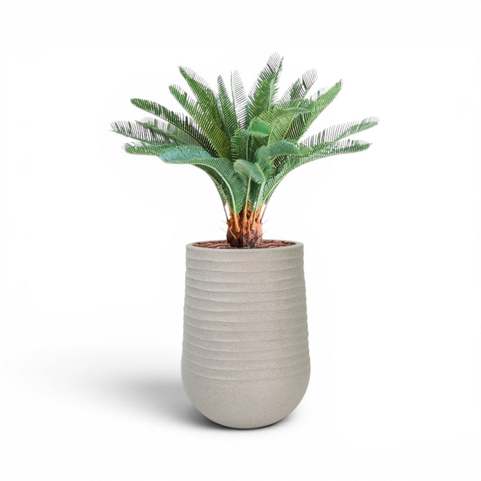 Artimis Planter M Beige With Cycas 72cm