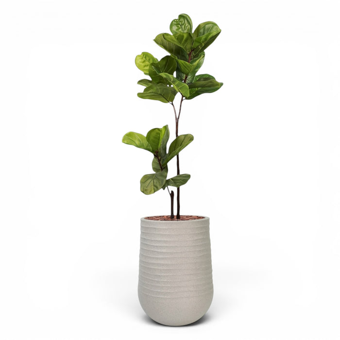 Artimis Planter M Beige With Ficus Fiddle Leaf 120cm