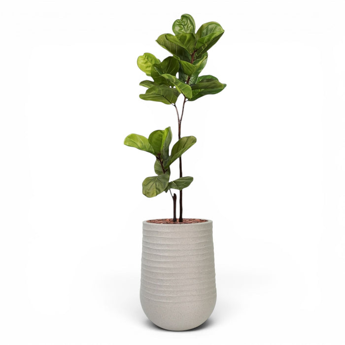 Artimis Planter M Beige With Ficus Fiddle Leaf 120cm