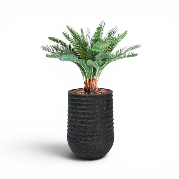 Artimis Planter M Black With Cycas 72cm