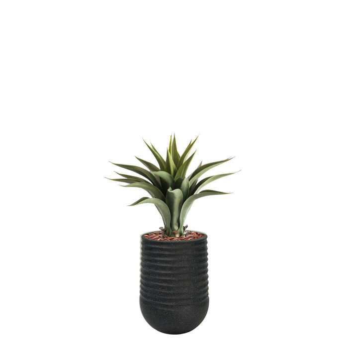 Artimis S 28x37 Black with Agave - 55cm
