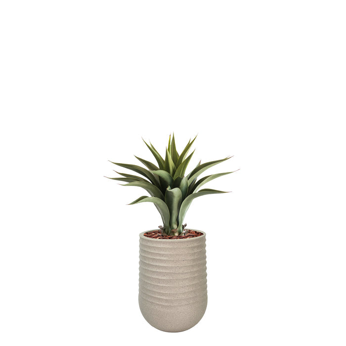 Artimis S Beige with Agave - 55cm