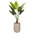 Artimis S Beige with Strelitzea 110cm