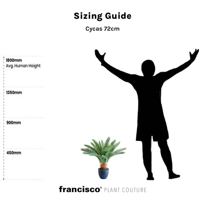 Artimis S Black with Cycas - 72cm