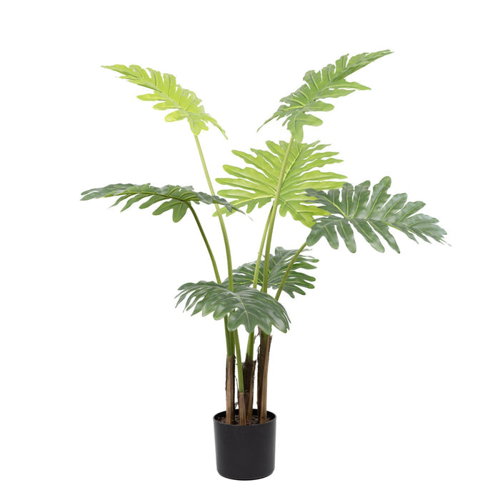 Artimis S Black with Philodendron - 120cm