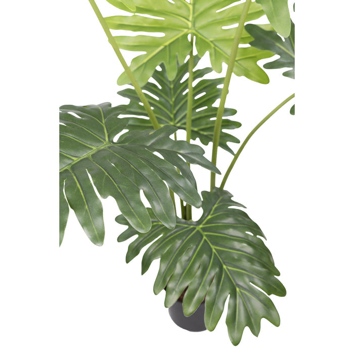 Artimis S Black with Philodendron - 120cm