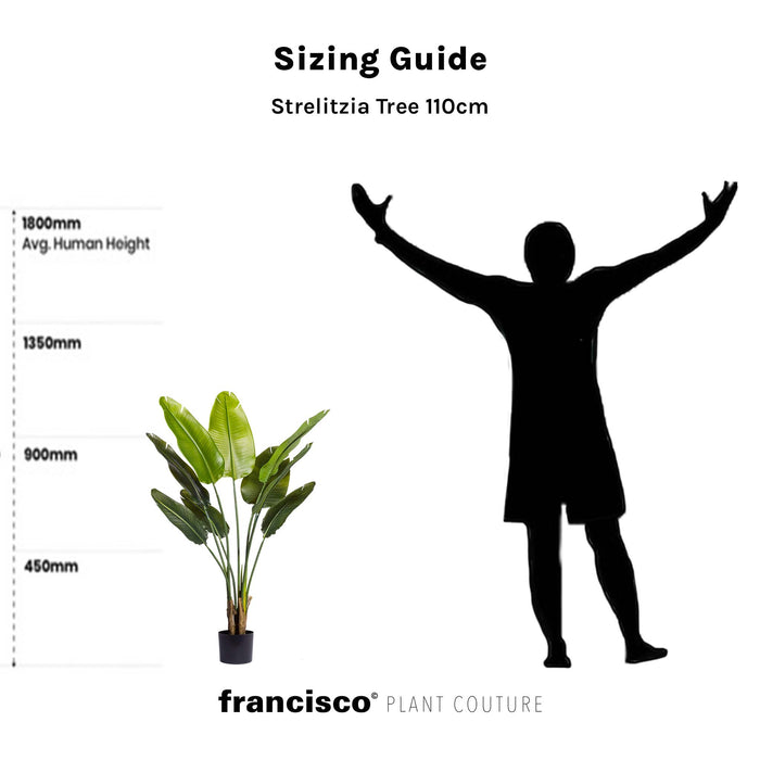 Artimis S Black with Strelitzia - 110cm