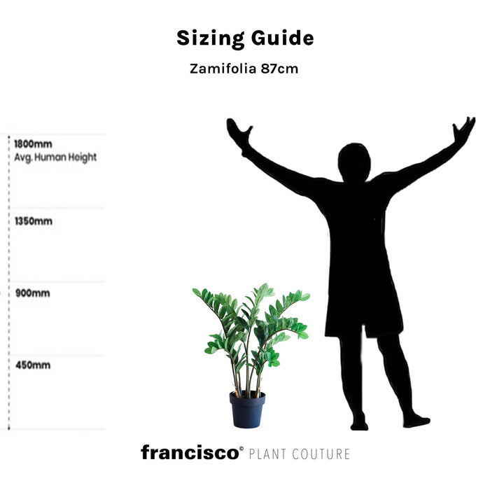 Artimis S Black with Zamifolia - 87cm