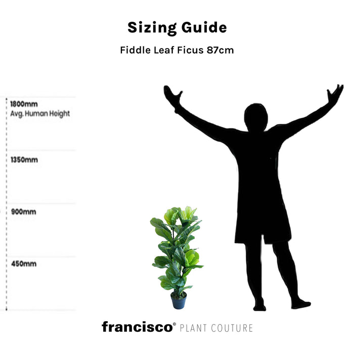 Artimis Small Beige with Fiddle Leaf Ficus - 90cm