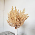 Bailey Natural Fluffy Stems