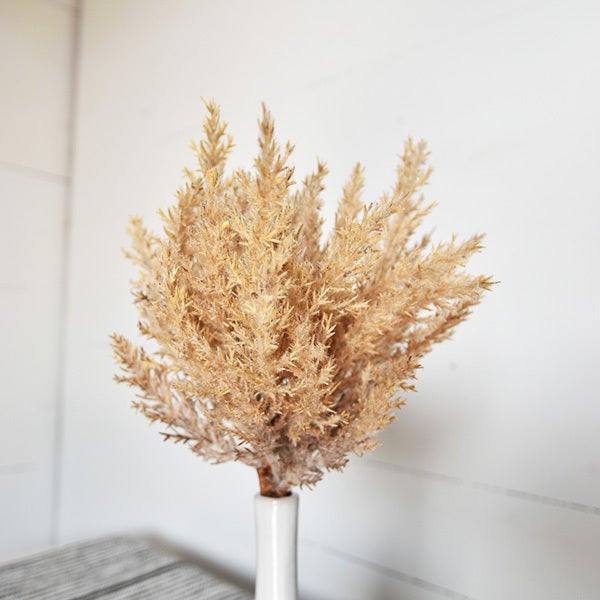 Bailey Natural Fluffy Stems