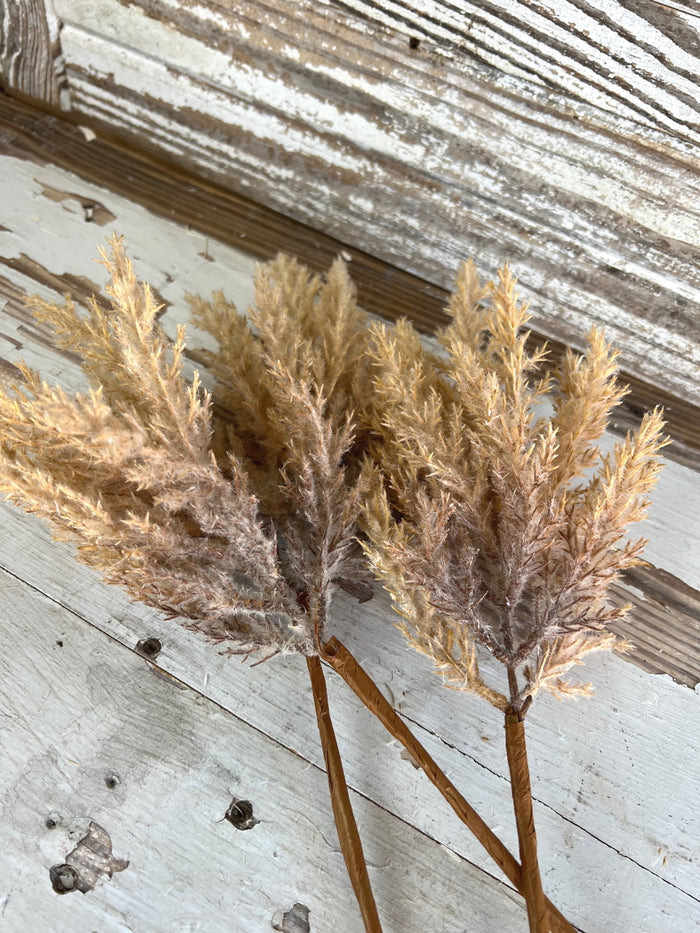 Bailey Natural Fluffy Stems