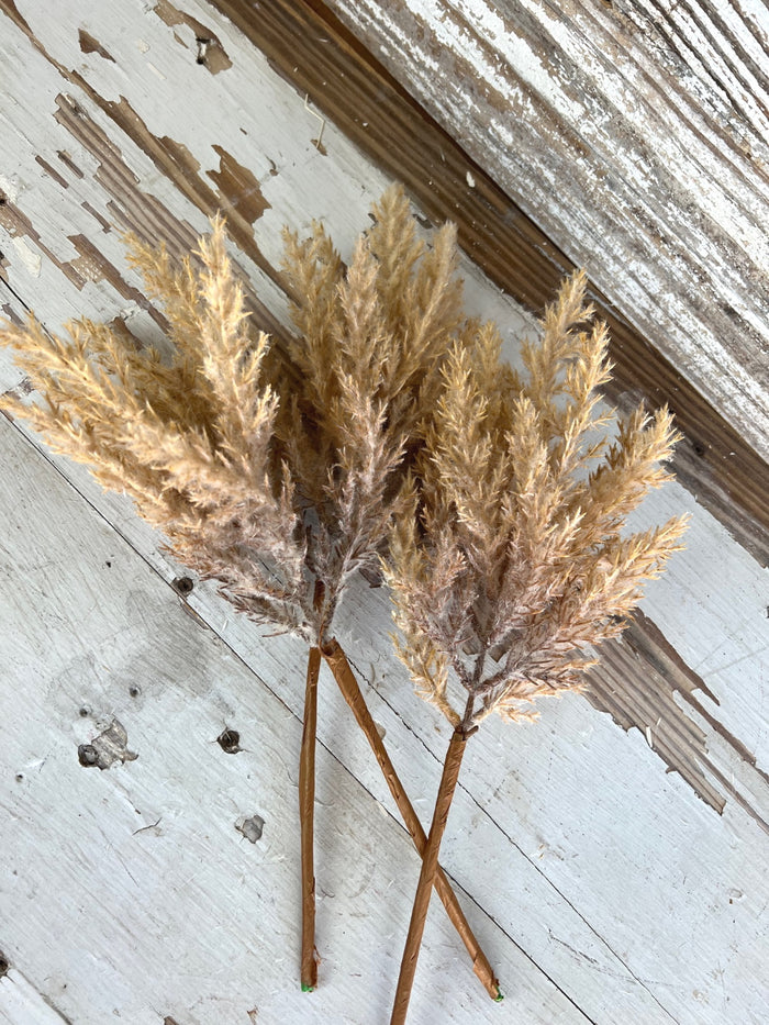 Bailey Natural Fluffy Stems