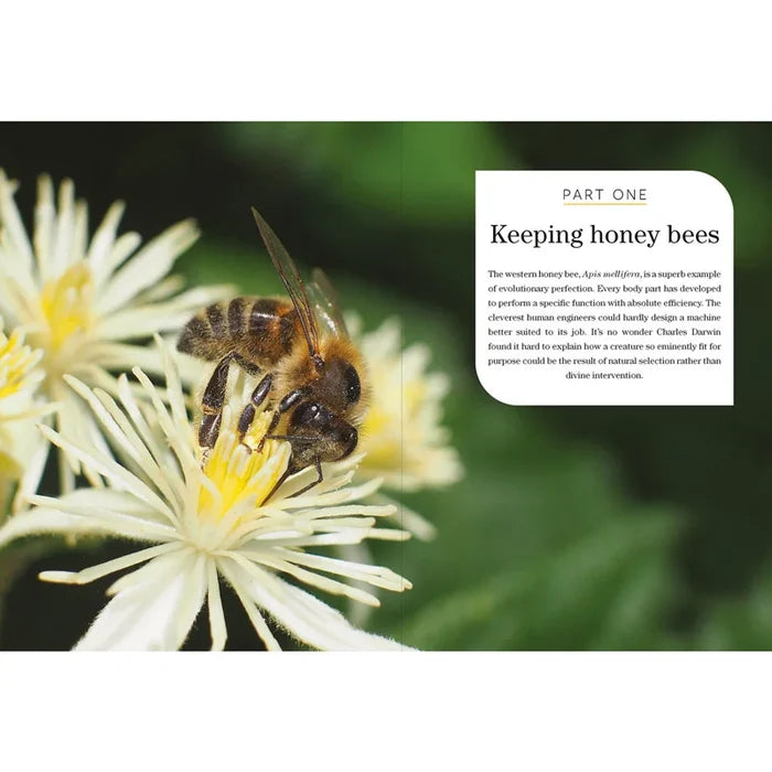 Beekeeping for Gardeners
