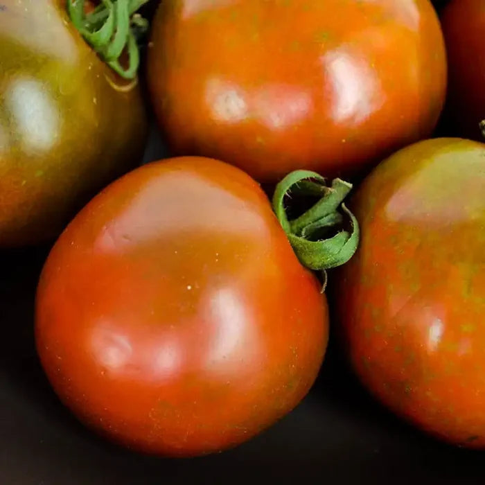 Black Velvet Hybrid Tomato (Pkt of Approx. 25 Seeds)