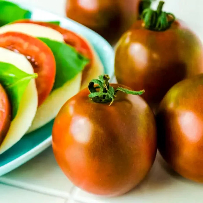 Black Velvet Hybrid Tomato (Pkt of Approx. 25 Seeds)