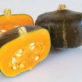 Bon Bon Hybrid Winter Squash Seed