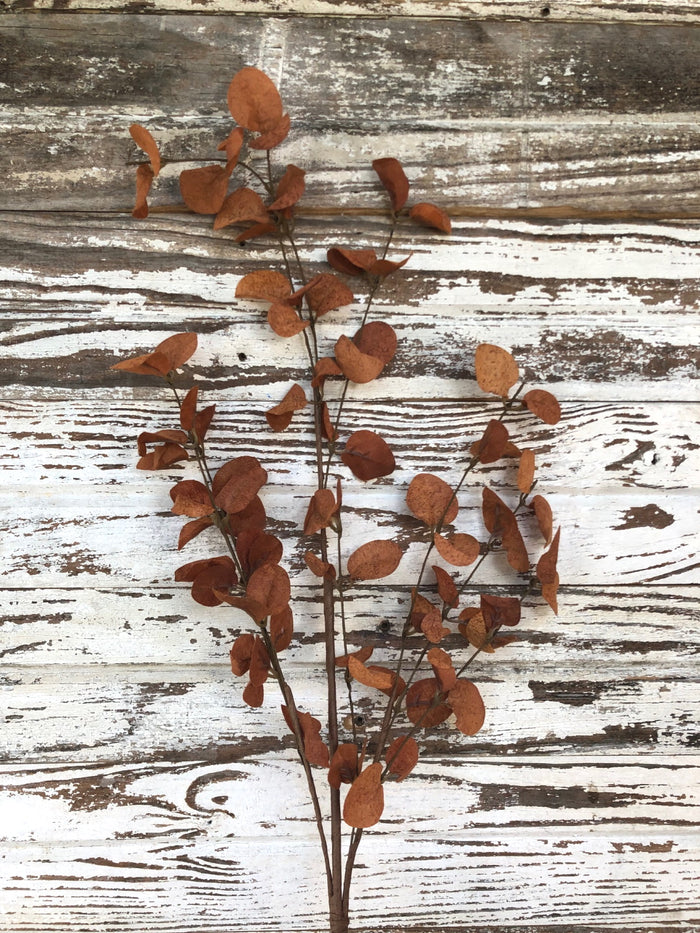 Burnt Orange Penny Leaf Spray