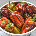 Peppers