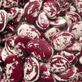 Christmas Lima Pole Bean Seed