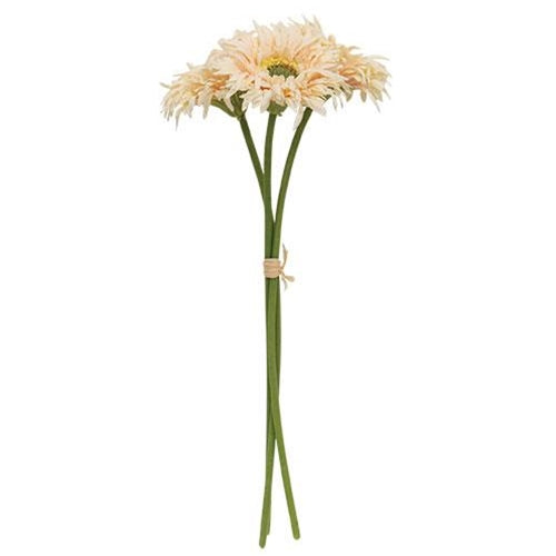 Cream Pink Gerbera Daisy Bouquet