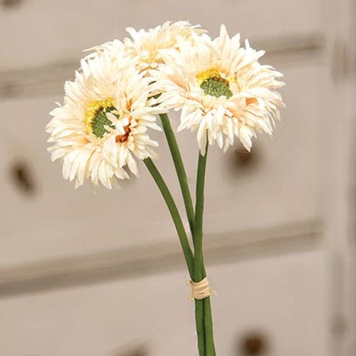 Cream Pink Gerbera Daisy Bouquet