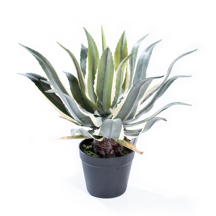 Plant Couture - Artificial Plants - Agave 45cm