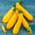 Easy Pick Gold II Hybrid Summer Squash (Pkt of Approx. 20 Seeds)