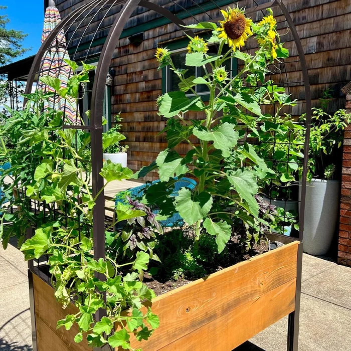 Elevated Cedar Planter Box 2x4