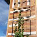 Exeter Wall Trellis Large