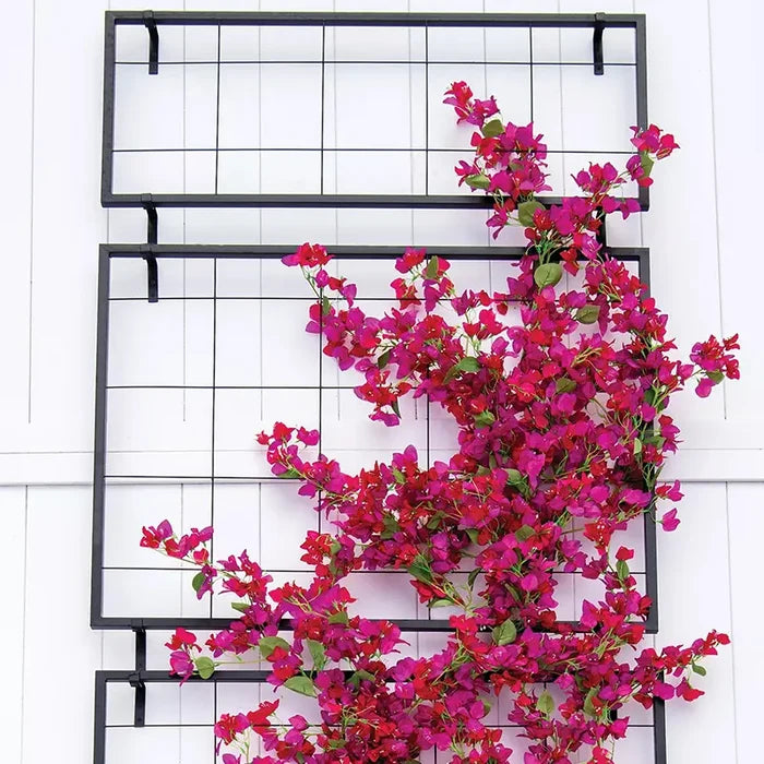 Exeter Wall Trellis Large