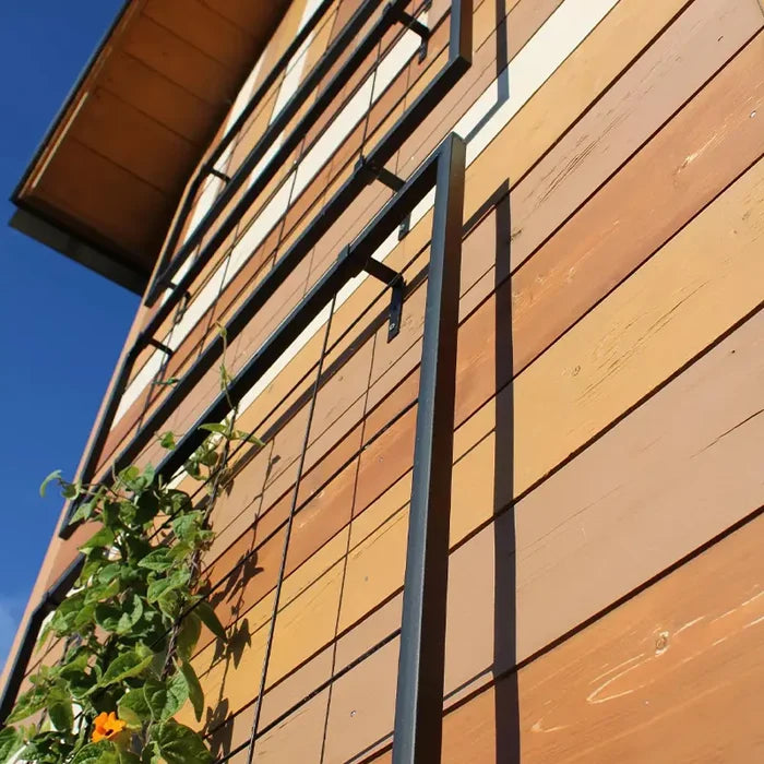 Exeter Wall Trellis Large