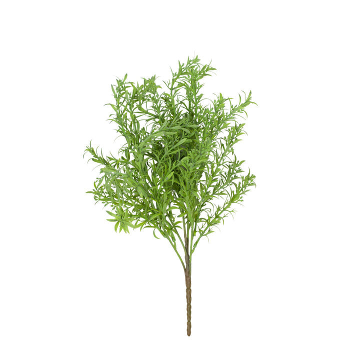 Filler Bush Green - 40cm