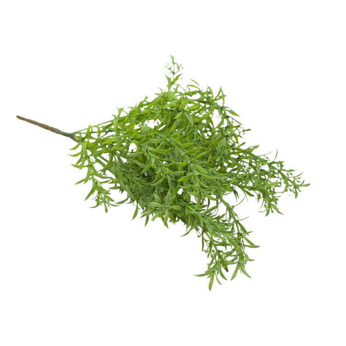 Filler Bush Green - 40cm