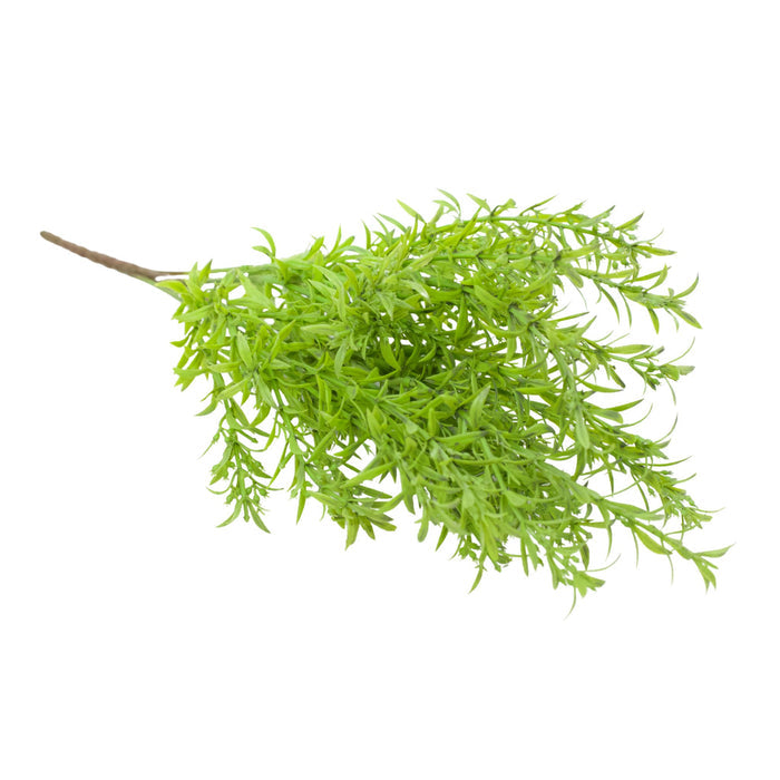 Filler Bush Light Green - 40cm