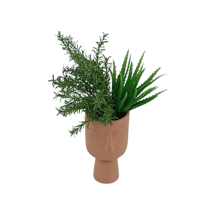 Filler Bush & Succulent in Terracotta Face Pot