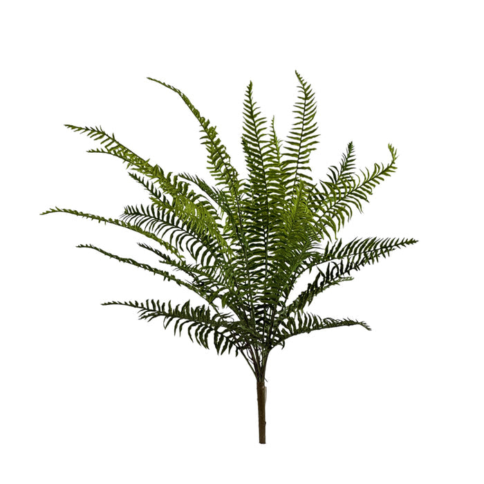 Filler Fern Bush 81cm