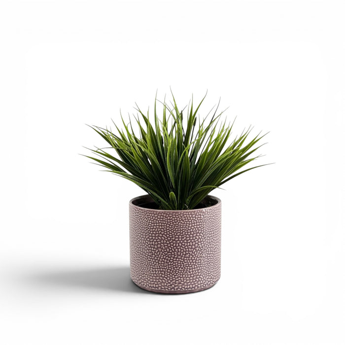 Filler Grass Head in Ceramic Cornelia