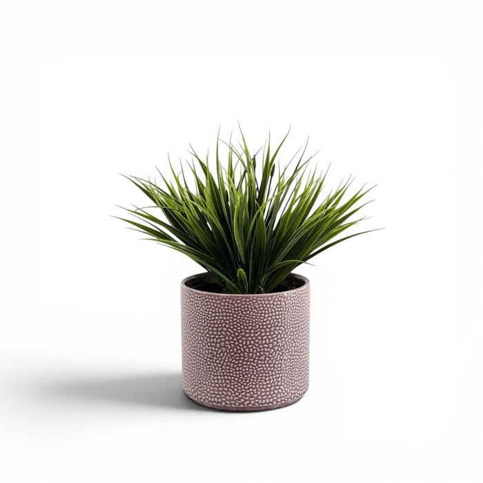 Filler Grass Head in Ceramic Cornelia